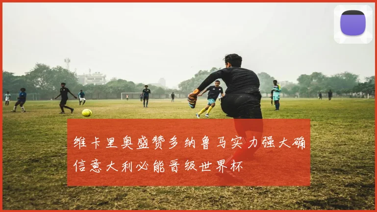 维卡里奥盛赞多纳鲁马实力强大确信意大利必能晋级世界杯