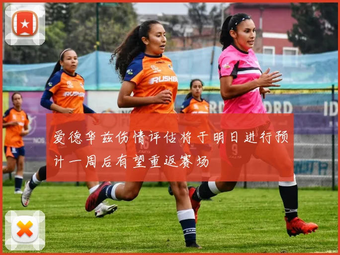 爱德华兹伤情评估将于明日进行预计一周后有望重返赛场