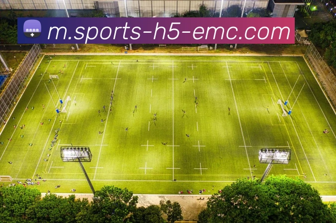 易倍体育APP 高清赛事图